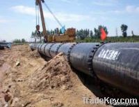 Pipeline Casing Insulator