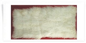 tibet lamb skin/goat skin/rabbit skin/raccoon skin/mink skin/fox skin.