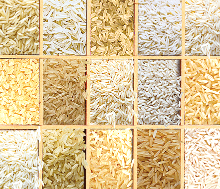 RICE All Grades of RICE