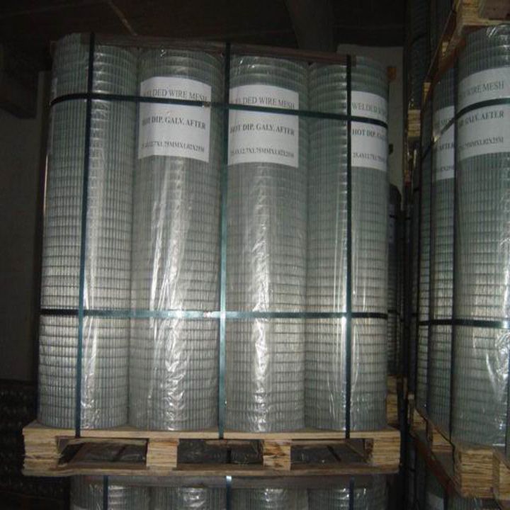 Galvanzied welded wire mesh