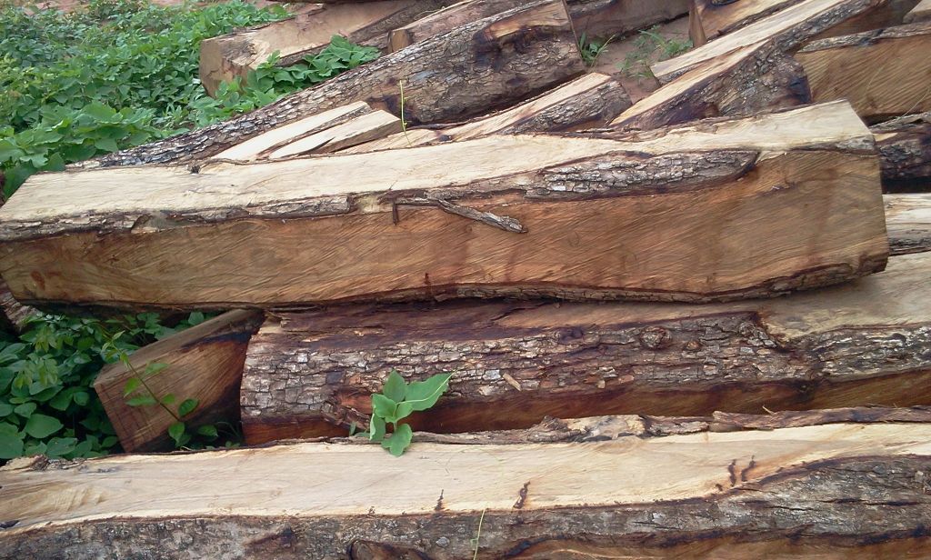 KOSSO WOOD