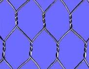 Hexagonal Wire Netting