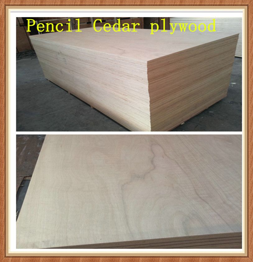 1220x2440mm pencil cedar plywood  for furniture
