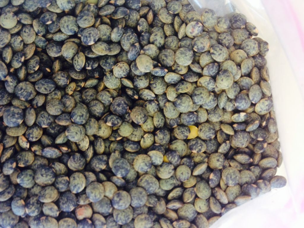 Canadian Excellent Quality Lentils