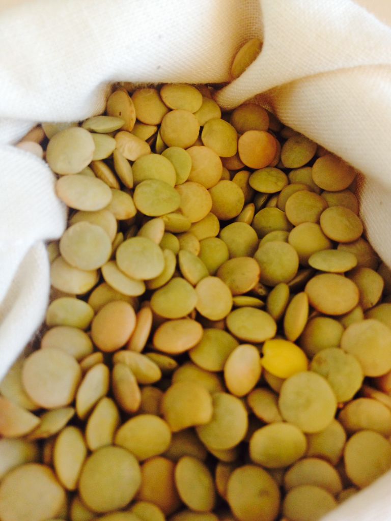 Canadian Excellent Quality Lentils