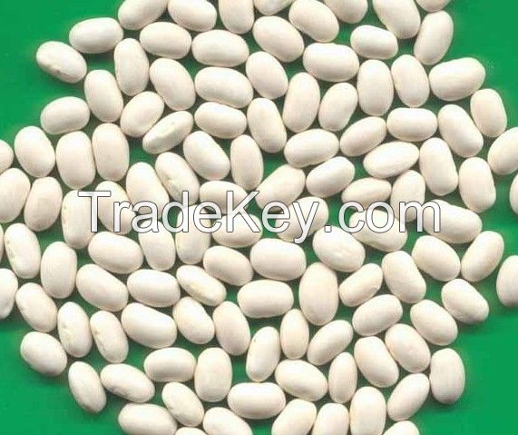white/red kidney beans