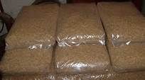 wood pellets and straw pellets