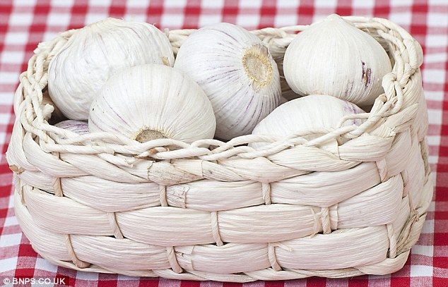 Vietnam Fresh Garlic 