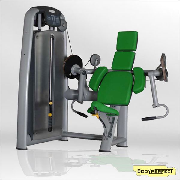 BFT-2003 Commercial sport equipment Biceps Curl