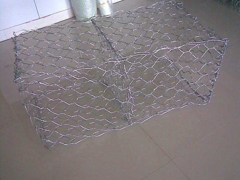 hexagonal wire mesh