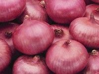 Fresh Onion