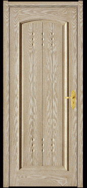 Interior Wood Door