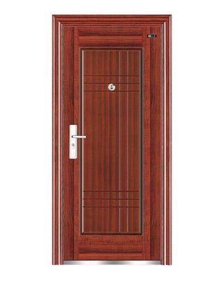 New style steel door