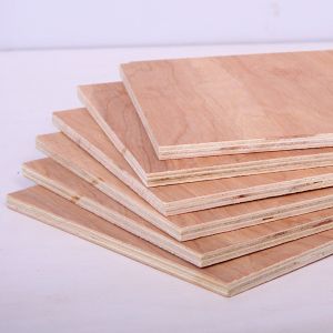 Birch plywood;Oak plywood;Pencil Cedar Plywood;Ash plywood;Teak plywood etc.