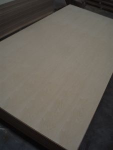 Ash Fancy Plywood