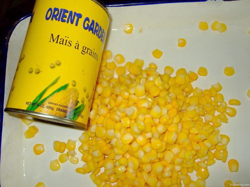 sweet corn in tins