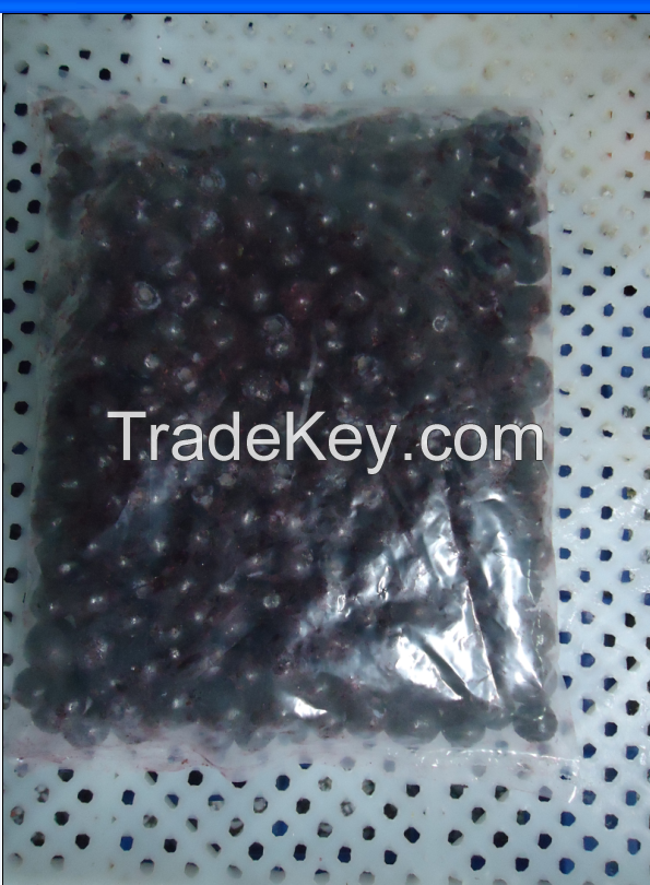 Frozen IQF blueberry, cultivated blueberry