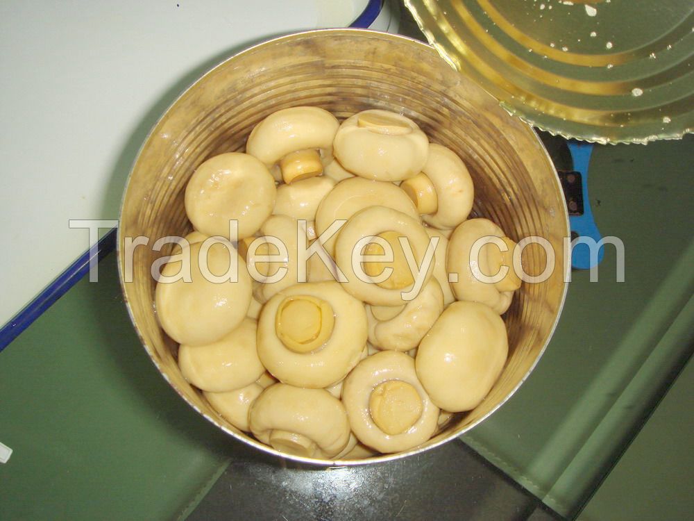 Mushroom in metal tins