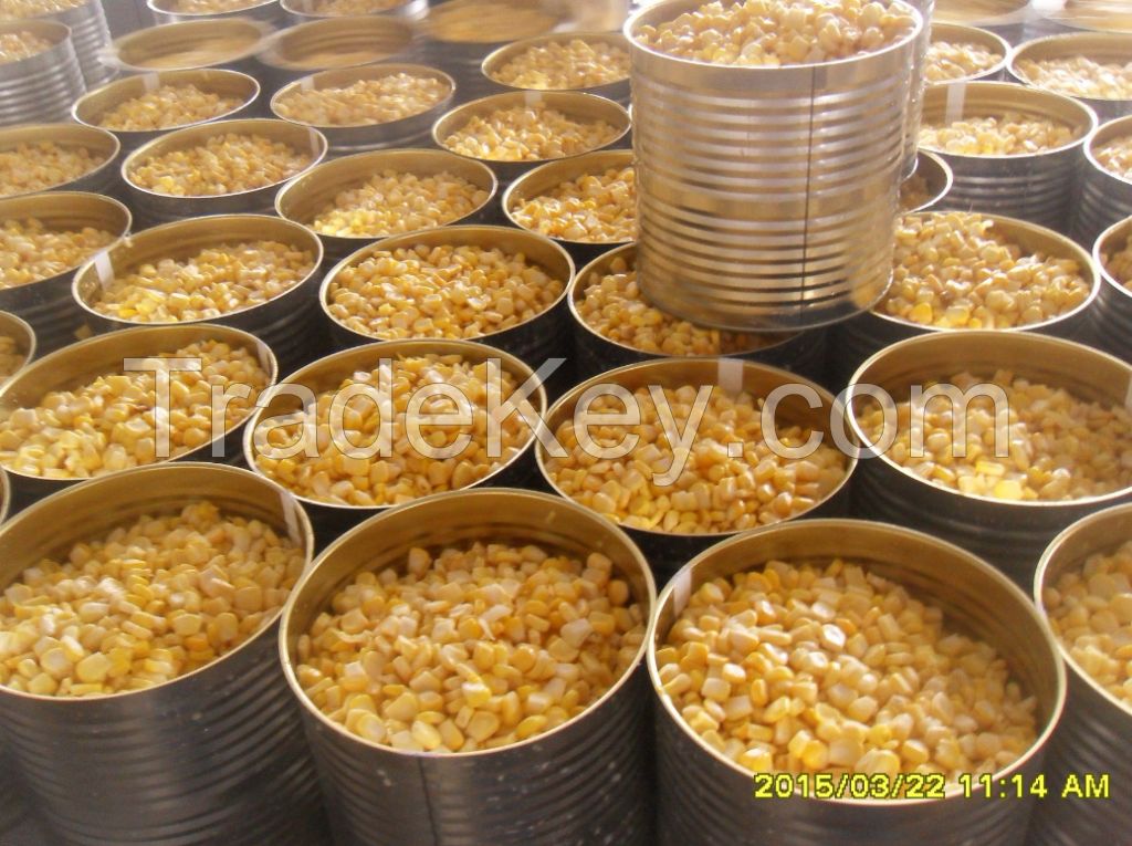 Sweet Corn for kitchen