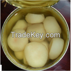 canned water chestnut