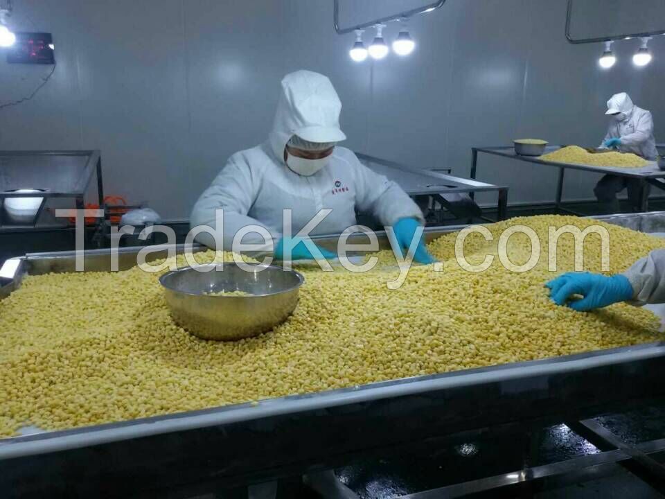 Frozen IQF sweet corn kernels