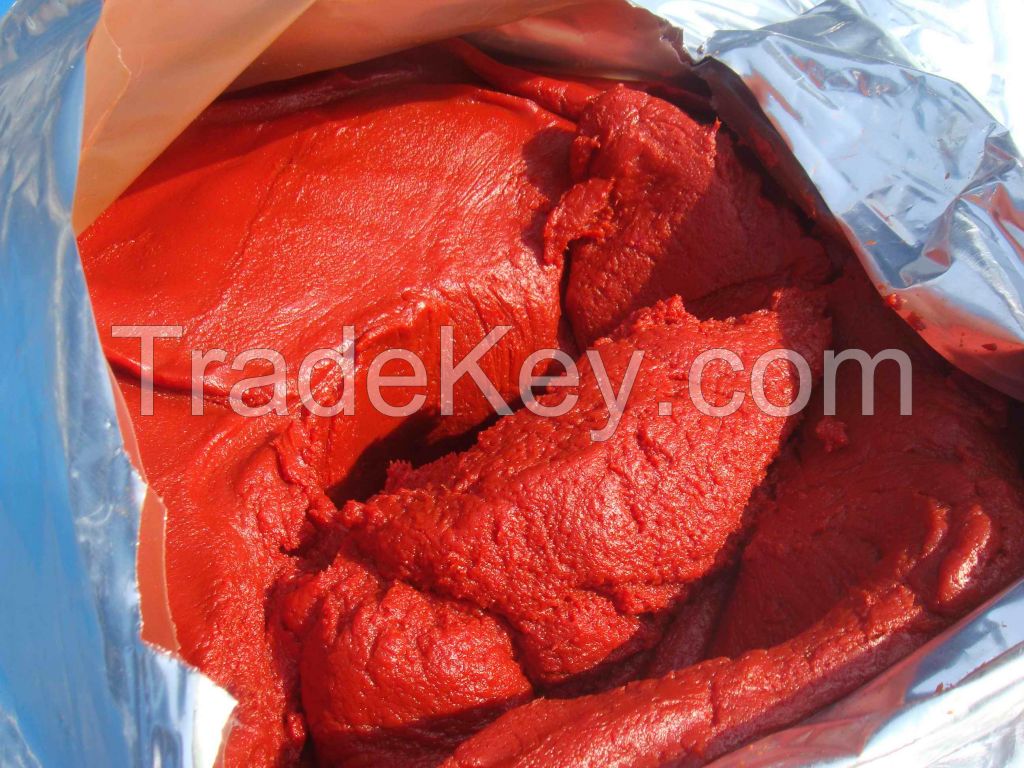 Tomato Sauce Paste 36-38% with High Quality