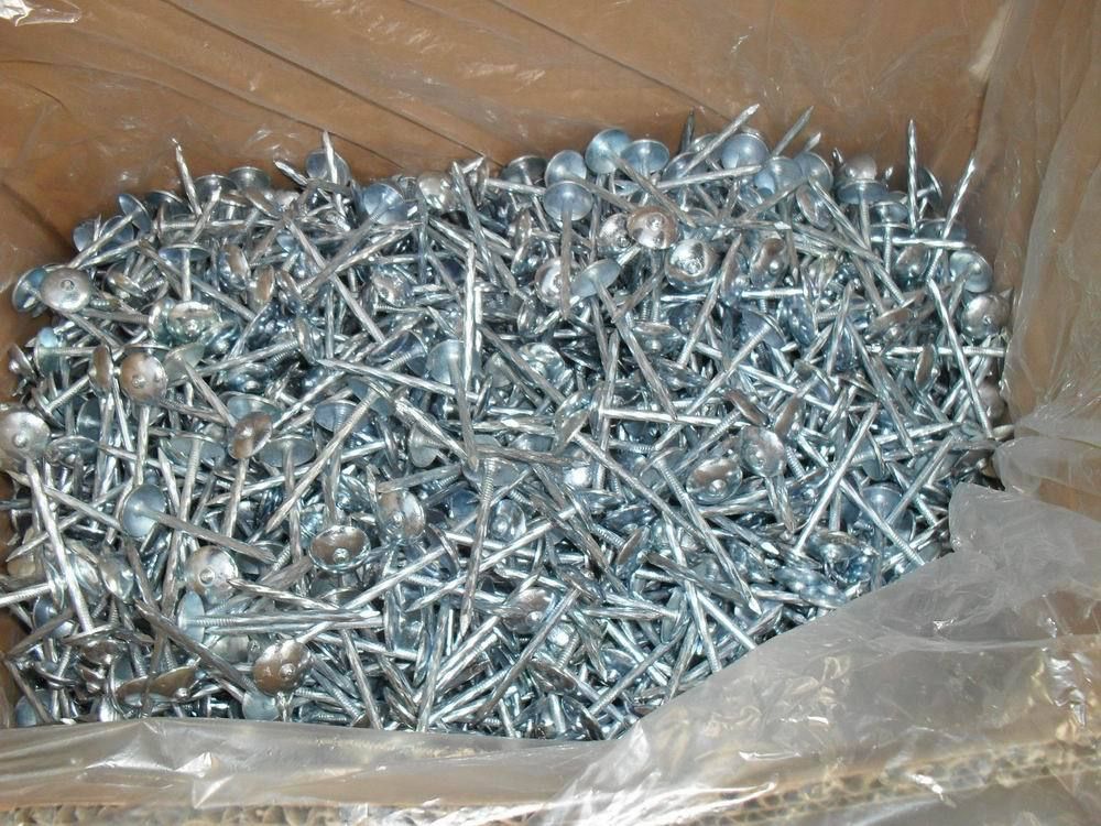 roofing nail, concrete nail, coil nail, common nail