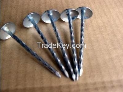 roofing nail, concrete nail, coil nail, common nail