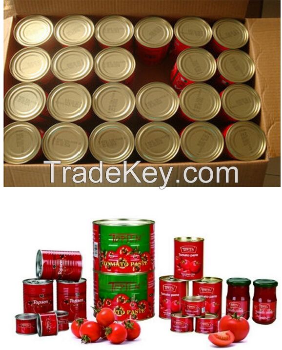 70G-4500G China Hot Sell Canned tomato paste