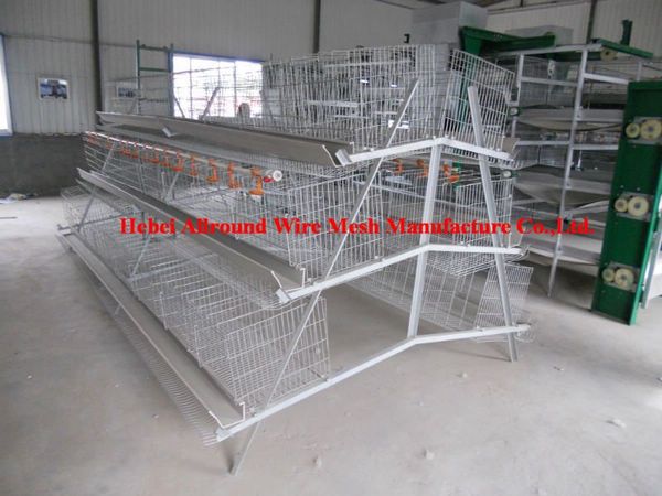 cheap layer cage for poultry chicken for pullet