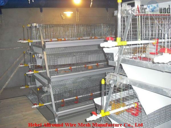 cheap layer cage for poultry chicken for pullet