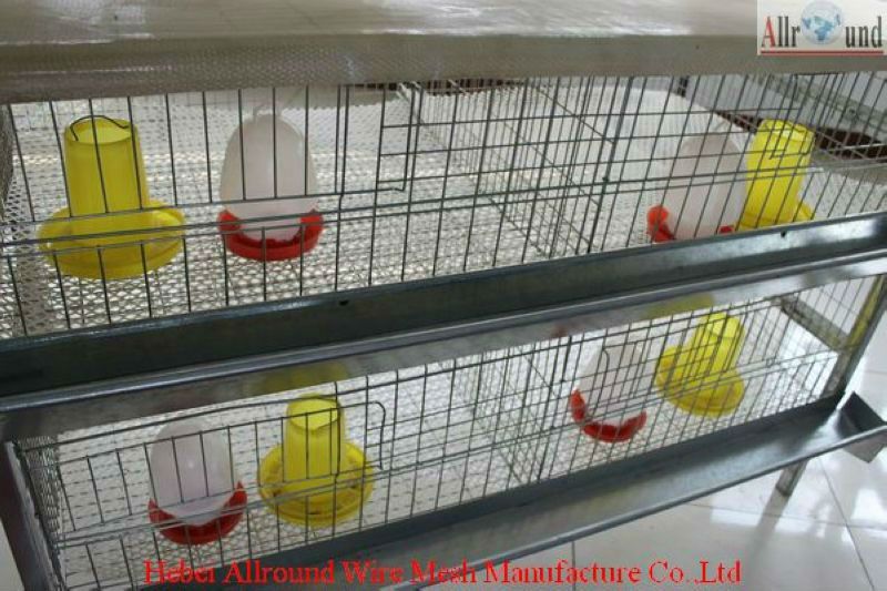 Newest design automatic rearing pullet cages
