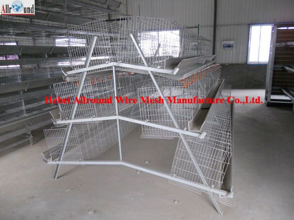 cheap layer cage for poultry chicken for pullet