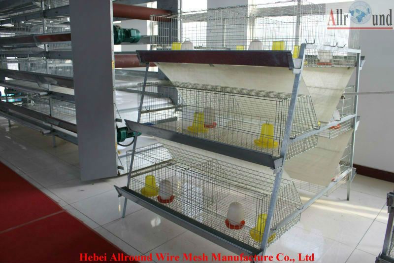 Newest design automatic rearing pullet cages