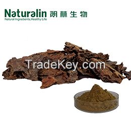 Cordyceps Extract 