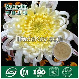 Chrysanthemum Extract