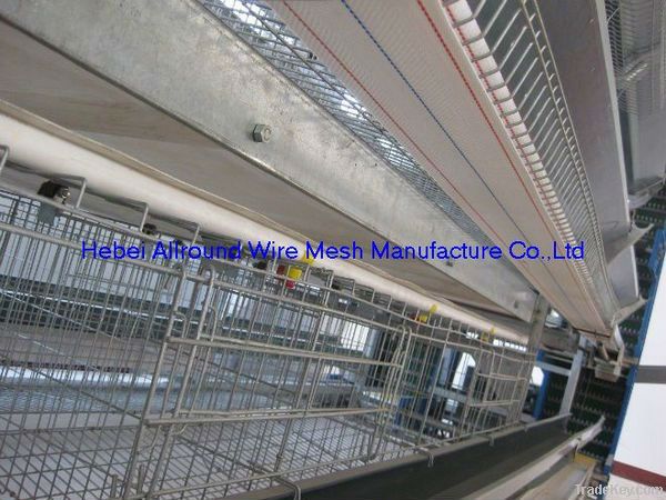 Top sale poultry cages for layer chickens