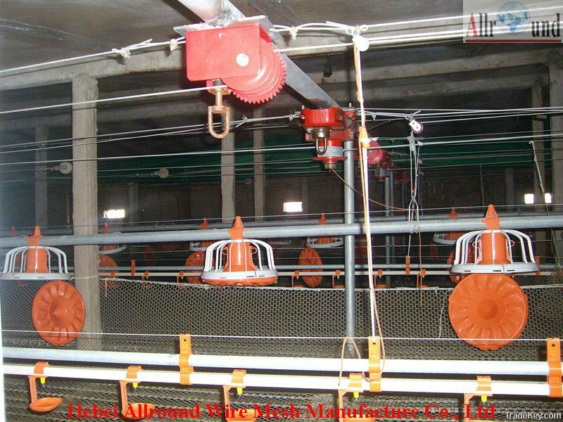 automatic broiler chickens cage