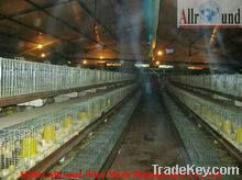 About best quality low price pullet cage