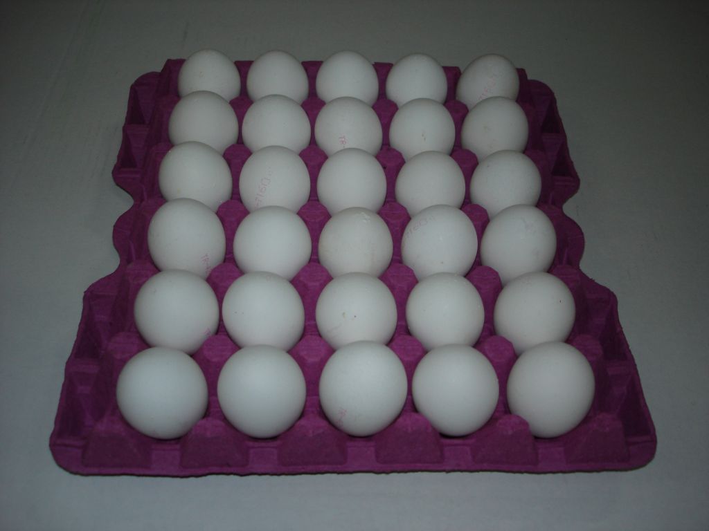 White Eggs