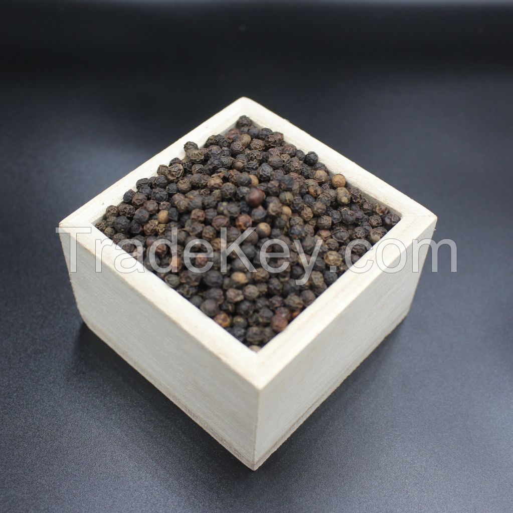 Black Pepper 5MM Jumboo Bold, 500g/l, 550g/l, 600g/l Clean/ Asta 