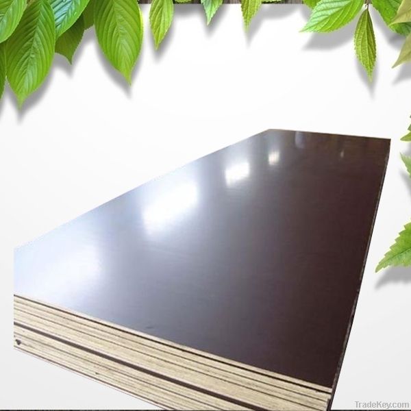 giga 15mm/18mm black/brown polyester overlaid waterproof plywood