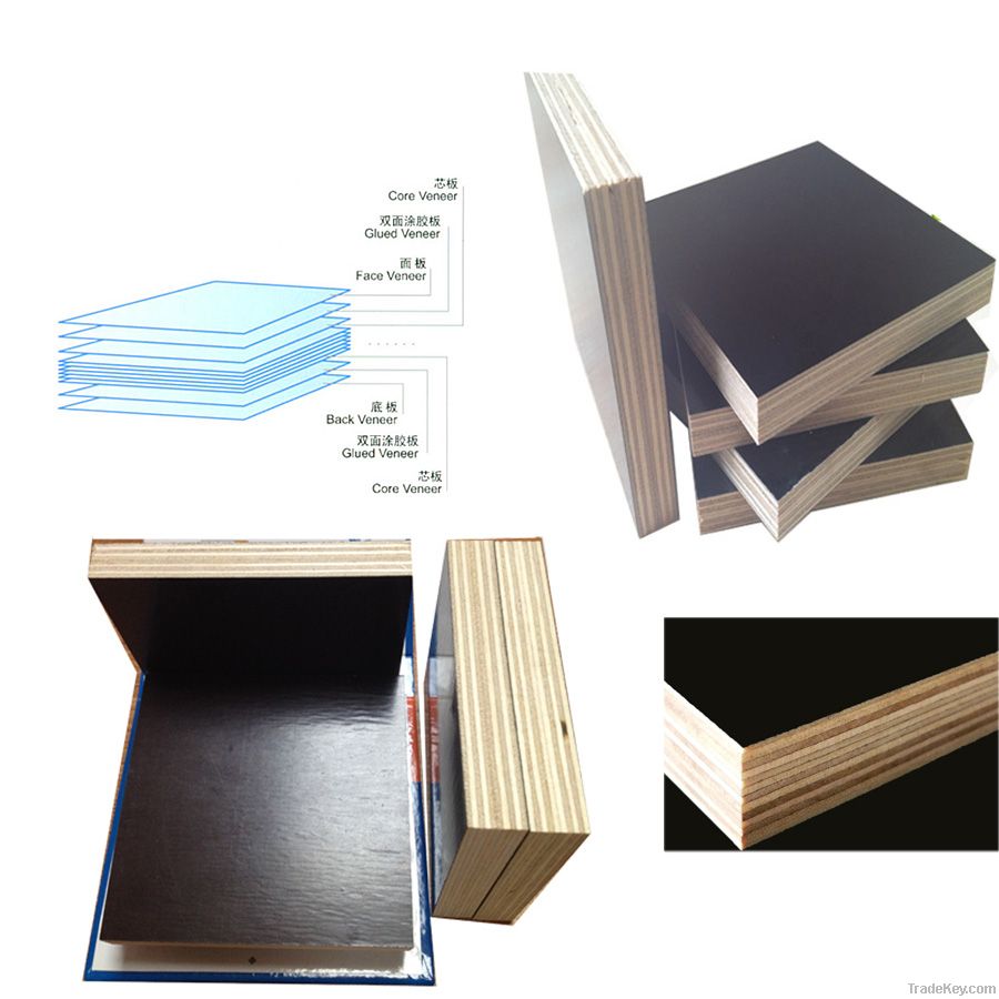 giga black veneer core hardwood/poplar plywood price
