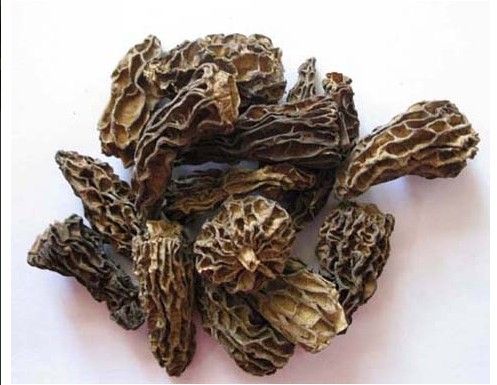 Dried Morel Without Stem