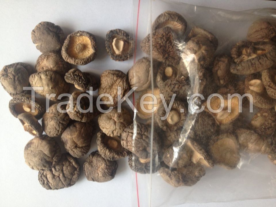 Dried Shiitake Mushroom Whole