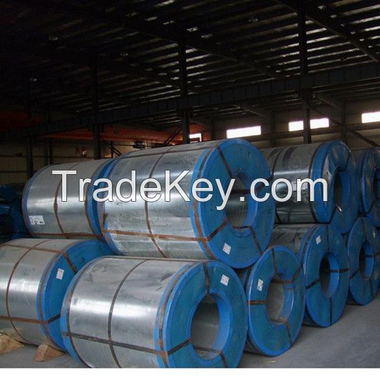0.8 Inch Specification Cold Rolled Steel Coil for Making Drums Barrels