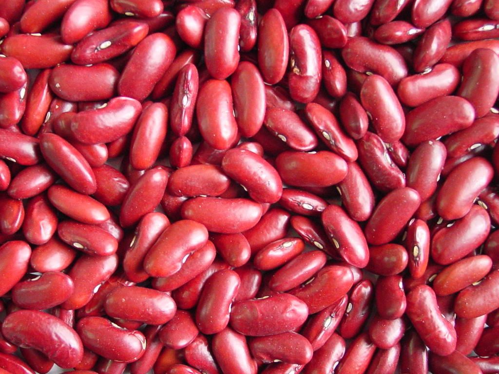 Red kidney bean