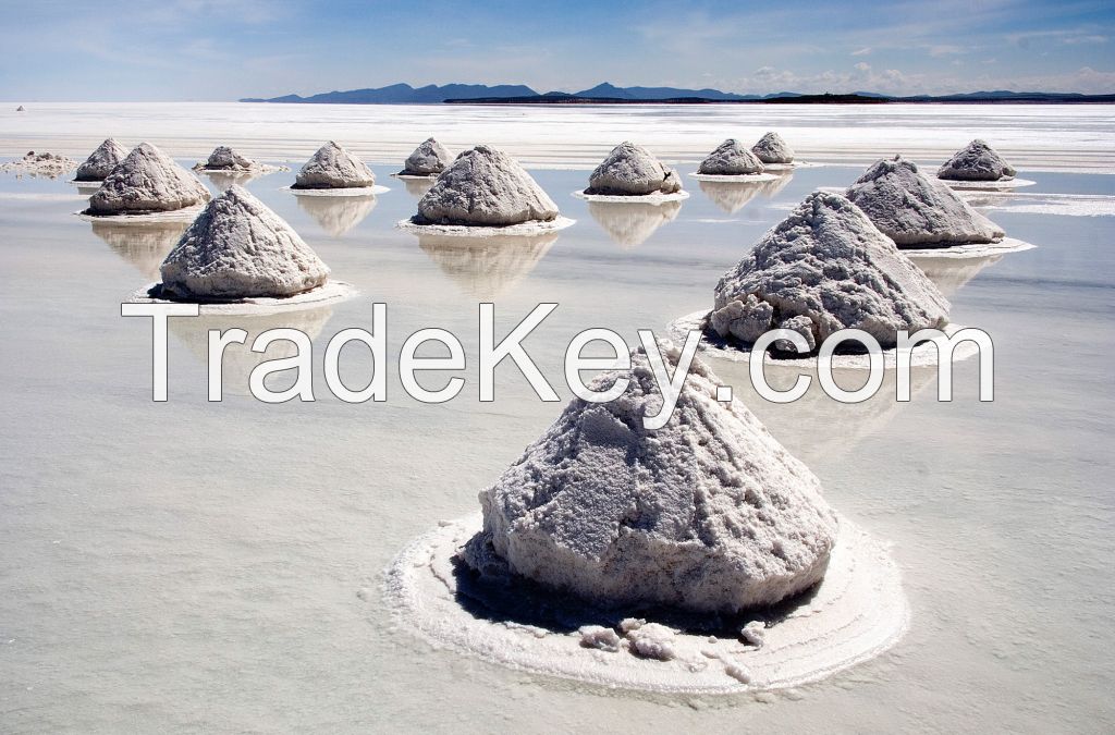 Uyuni Salt