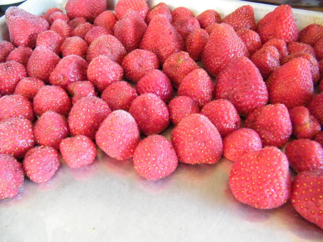 Frozen strwberries