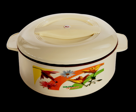 IPS Insulated Plastic Hot Pot Casseroles